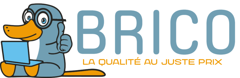 BRICO