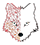 logo_fox_petit_2