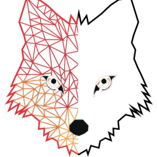 cropped-LOGO-TETE-FOX-_Plan-de-travail-1